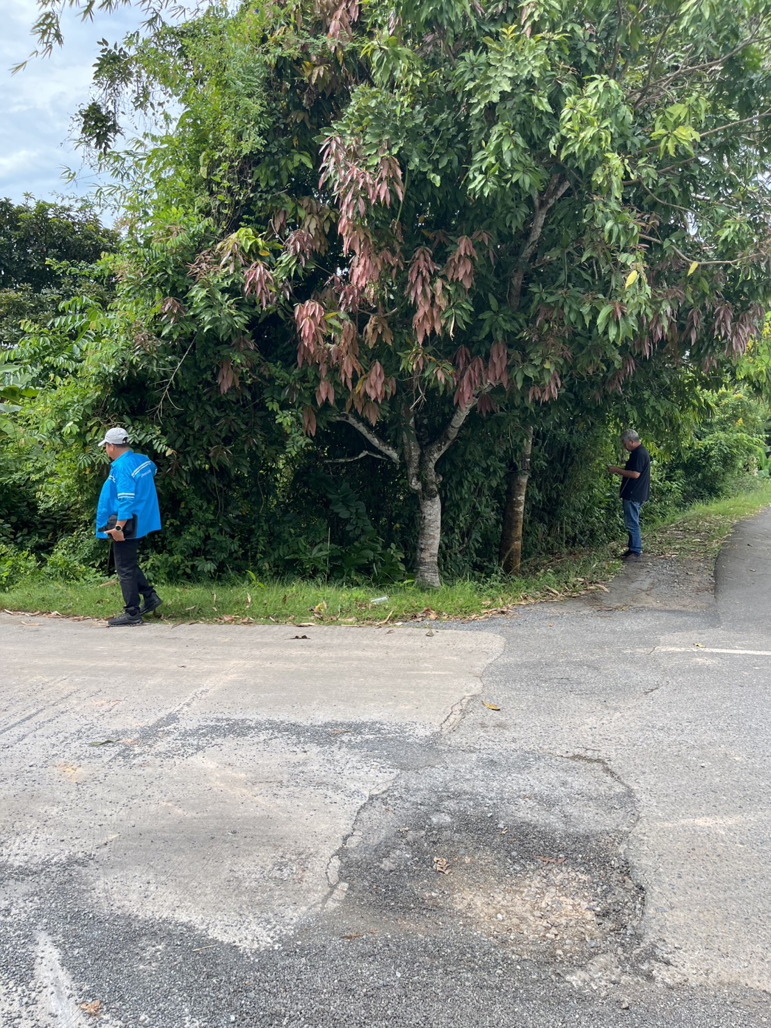 ไฟล์แนบ กปภ.สาขาสตูล ลงพื้นที่หาน้ำสูญเสีย หลังทำ Step Test DMA 02-1 ฉลุง–คลองขุด (ฝั่งซ้าย)