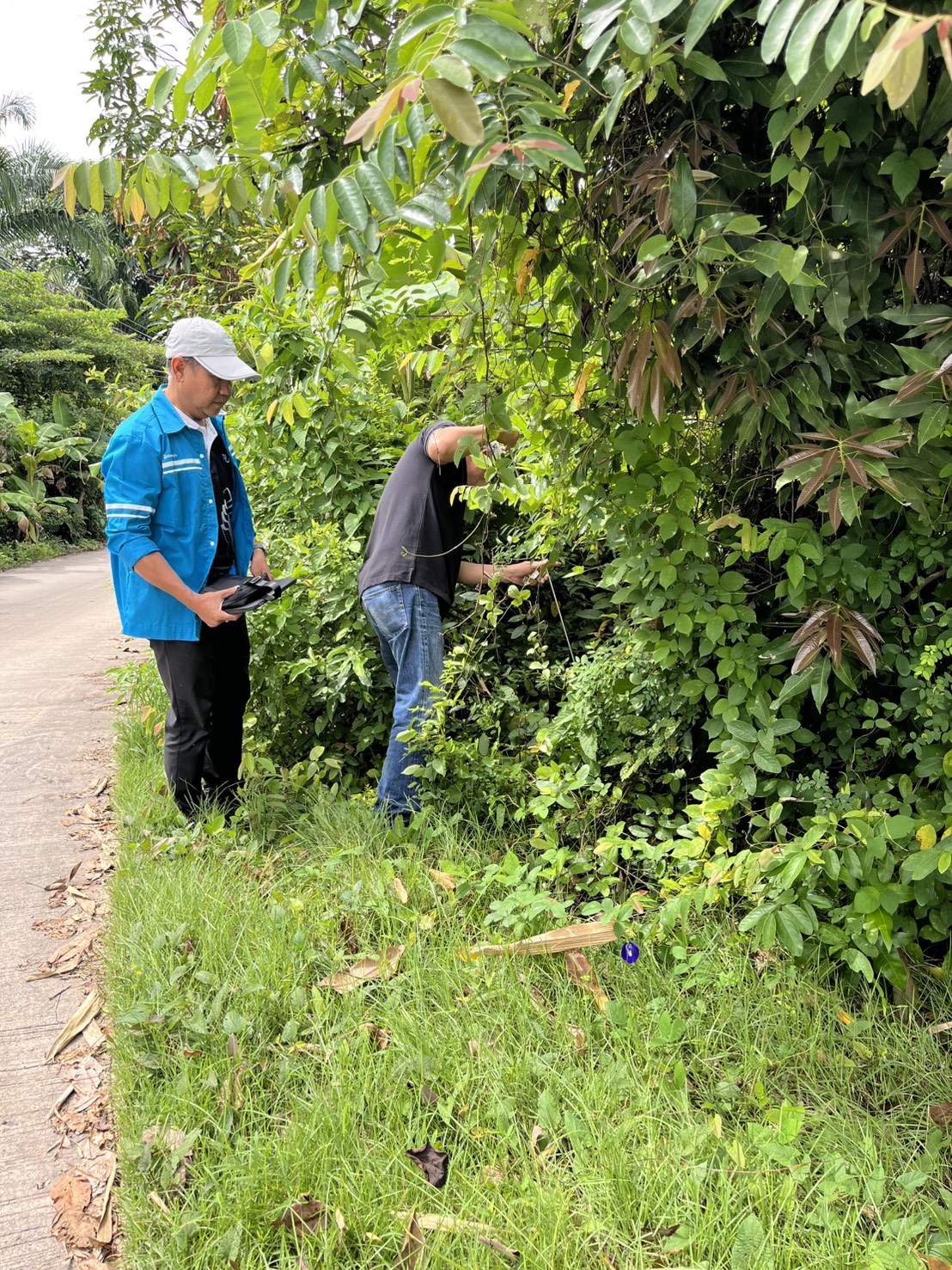 กปภ.สาขาสตูล ลงพื้นที่หาน้ำสูญเสีย หลังทำ Step Test DMA 02-1 ฉลุง–คลองขุด (ฝั่งซ้าย)
